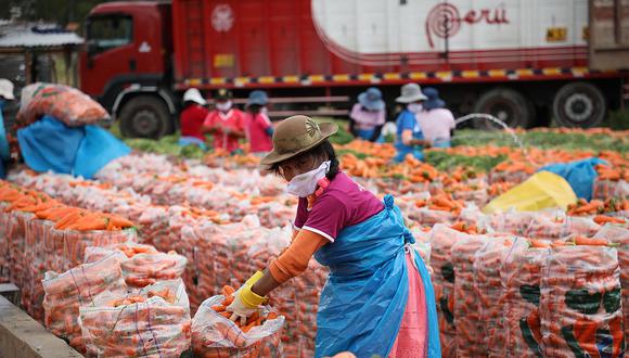 Junín: Agricultores no paran sus labores para asegurar producción de alimentos 