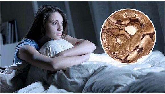 Mujer despierta y descubre a serpiente pitón de 3 metros en su cama 