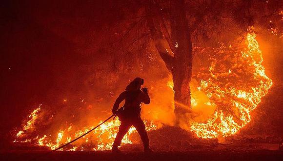 Guatemala: Incendios destruyen 12.000 hectáreas de bosque