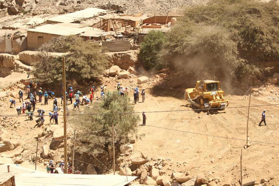 Arboles en lugar de quimbaletes