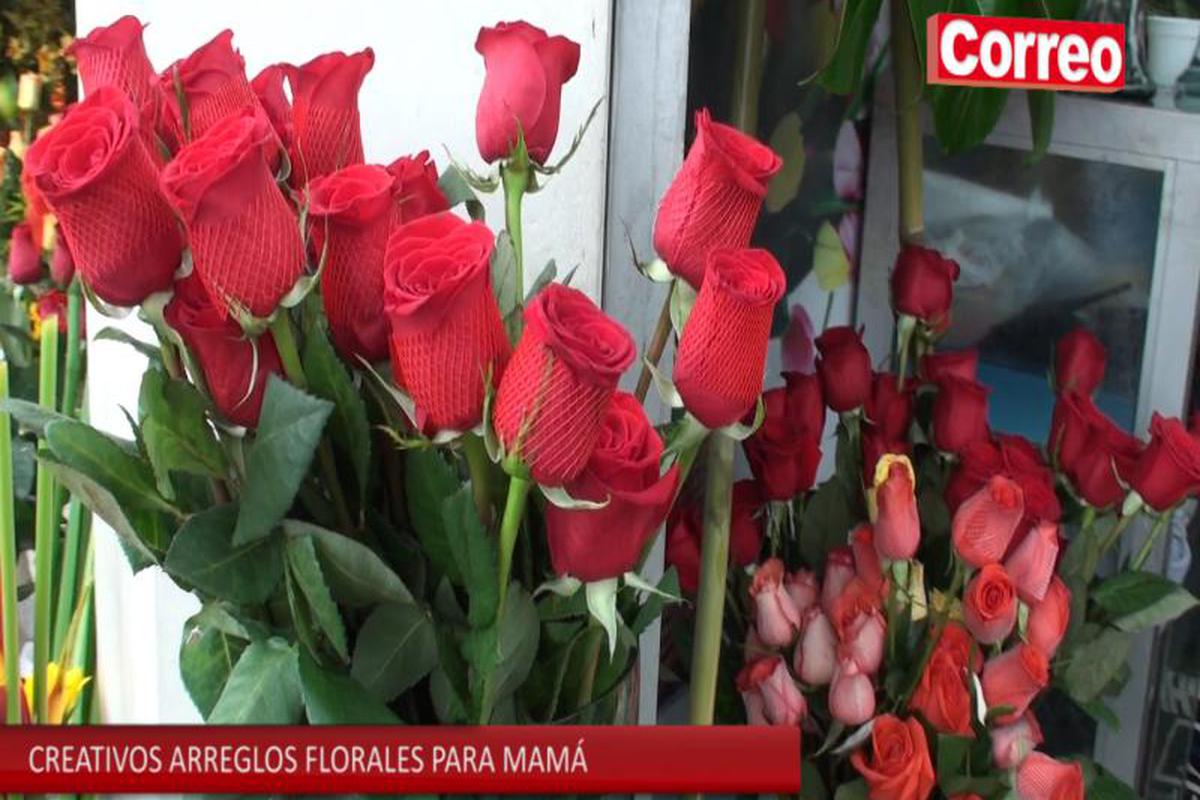 Día de la Madre: Creativos arreglos florales para mamá con forma de  animales (VIDEO) | PERU | CORREO
