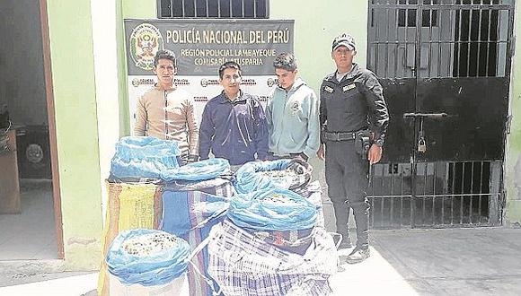 Individuos son detenidos cuando transportaban más de 80 kilos de hoja de coca
