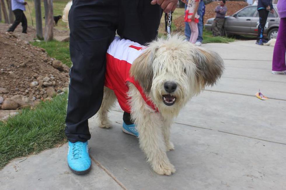 Una competencia  llena de 'amores perros' (FOTOS)