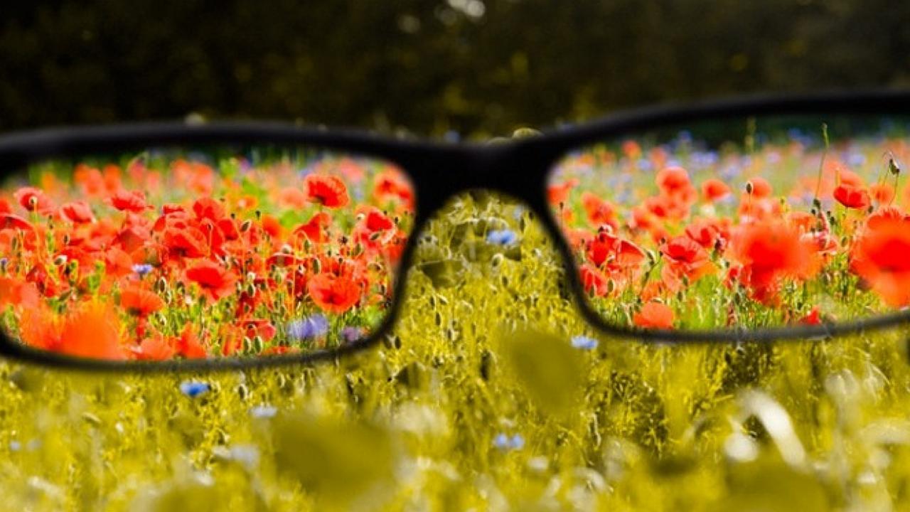 ¿Cómo ven las personas daltónicas? Estas aplicaciones te lo muestran (FOTOS)