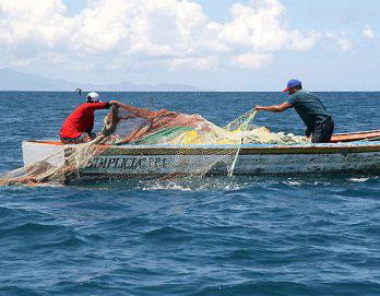 Tacna: Quieren poner fin a la pesca industrial