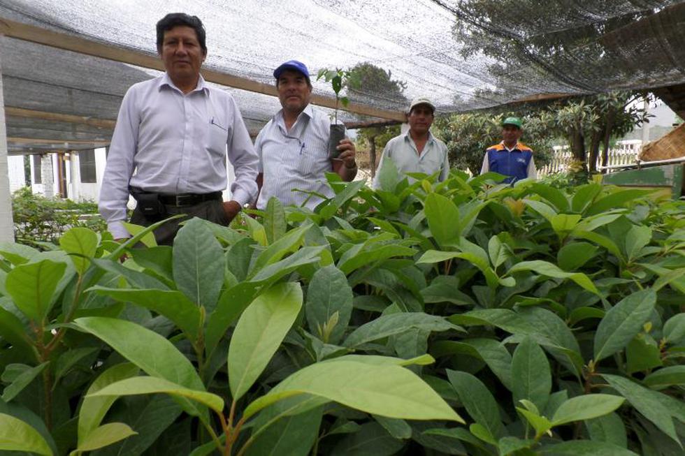 Un huerto con 30 años al servicio de Huánuco