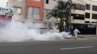 Fumigarán más de 500 casas en La Molina y Ate para prevenir casos de dengue
