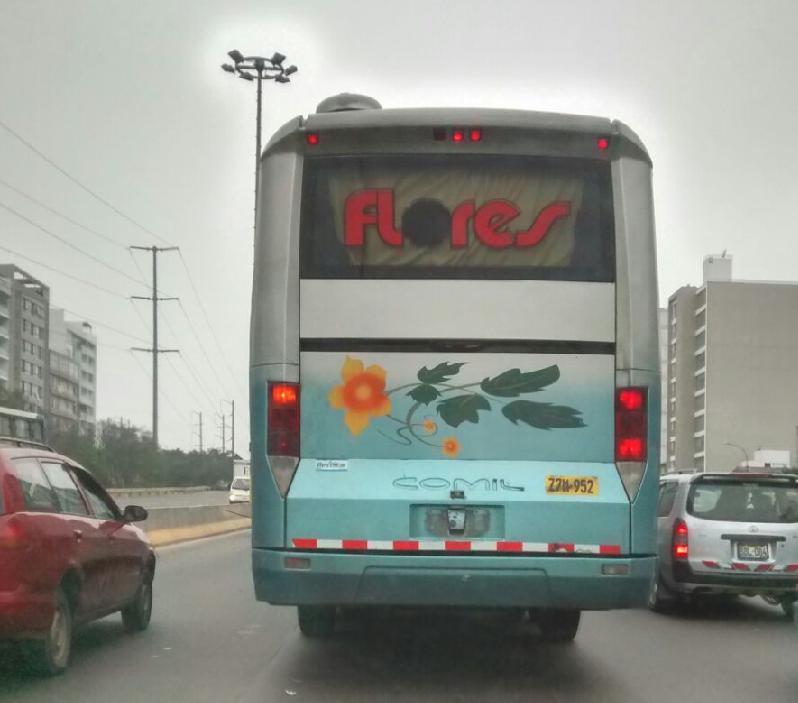 ​Desde WhatsApp: Denuncian que bus interprovincial circula por la Panamericana Sur sin placa