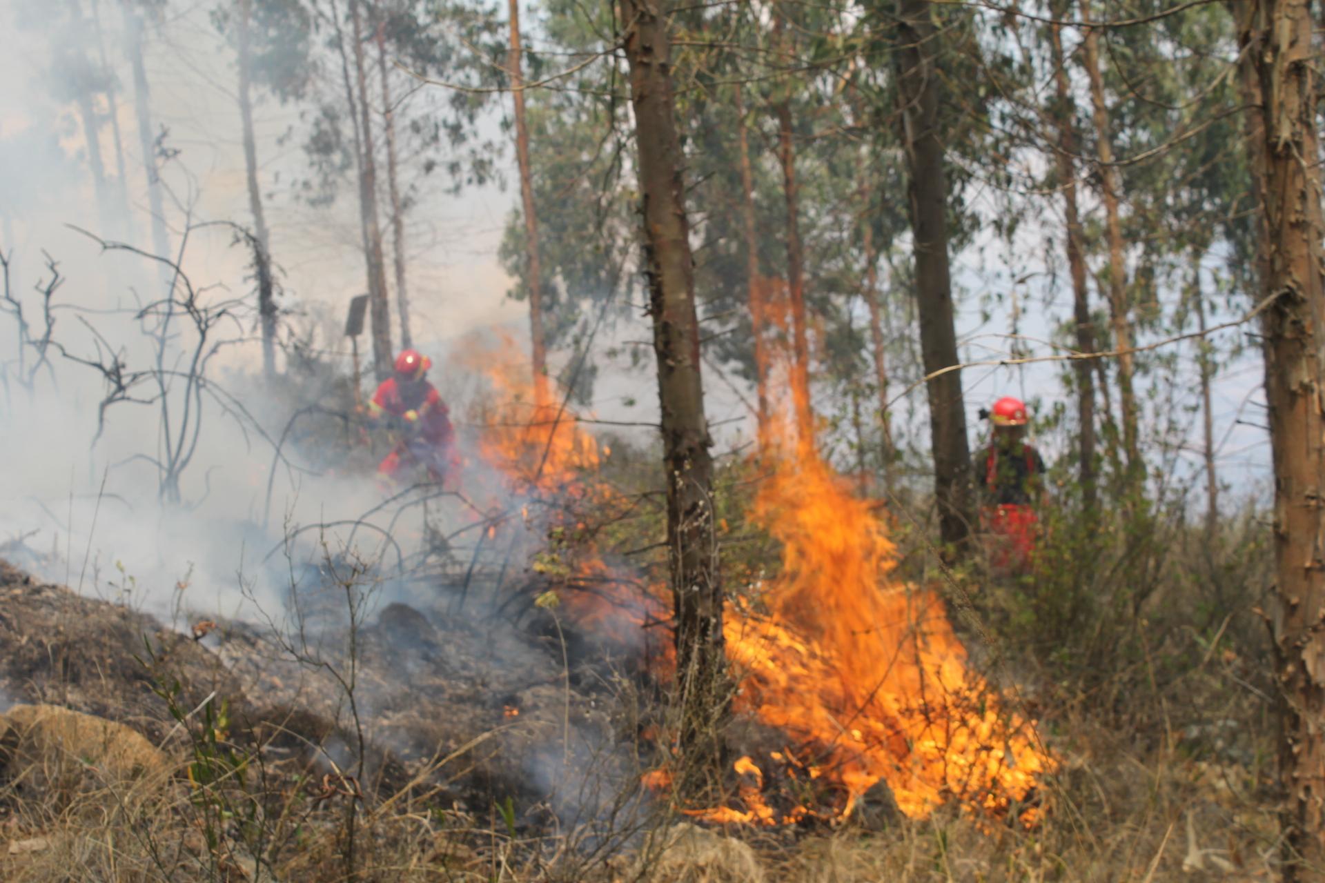 Tres sectores  afectados  por incendios forestales en Tarma