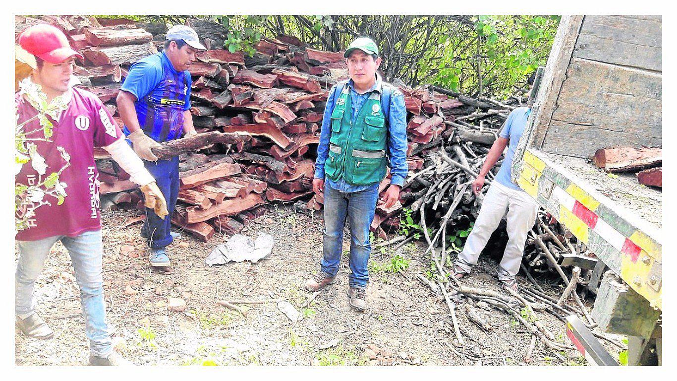 En ladrilleras incautan leña de algarrobo