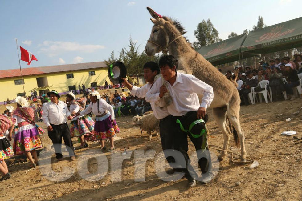 Así celebran humanos y animales en fiesta de Santiago (FOTOS)
