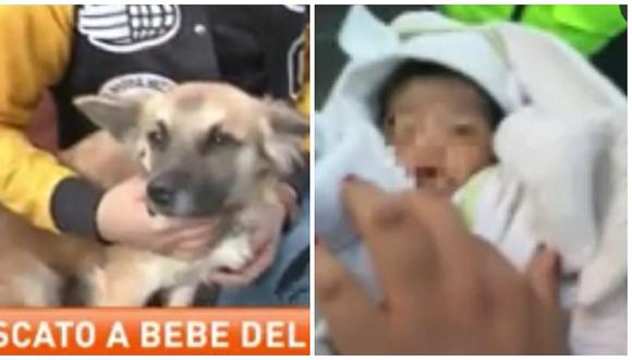 ​¡Conmovedor! Perro salvó de morir de frío a un bebé abandonado en la vía pública