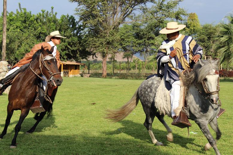 Chiclayo: Alistan 52° concurso regional de caballos de paso