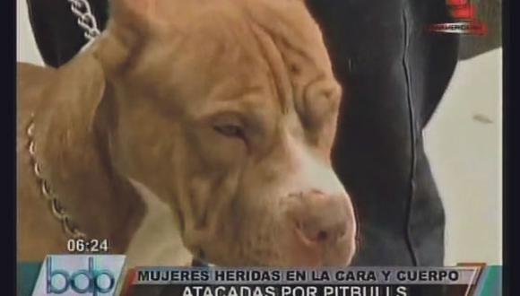 Mujeres quedaron gravemente heridas tras ataque de perros Pitbull