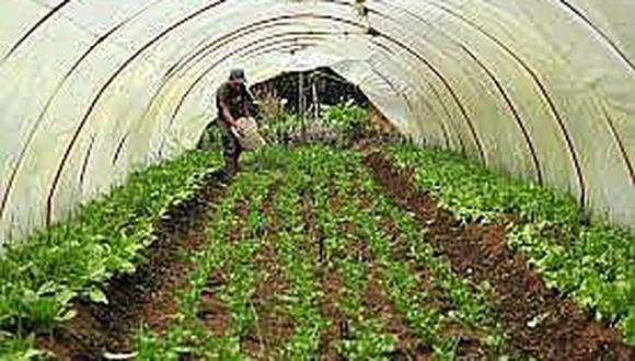 Reestructurar el Minagri ayudará a rescatar la agricultura familiar