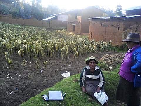 Huánuco: pérdidas en el agro por sequía y heladas superan los S/ 13 millones