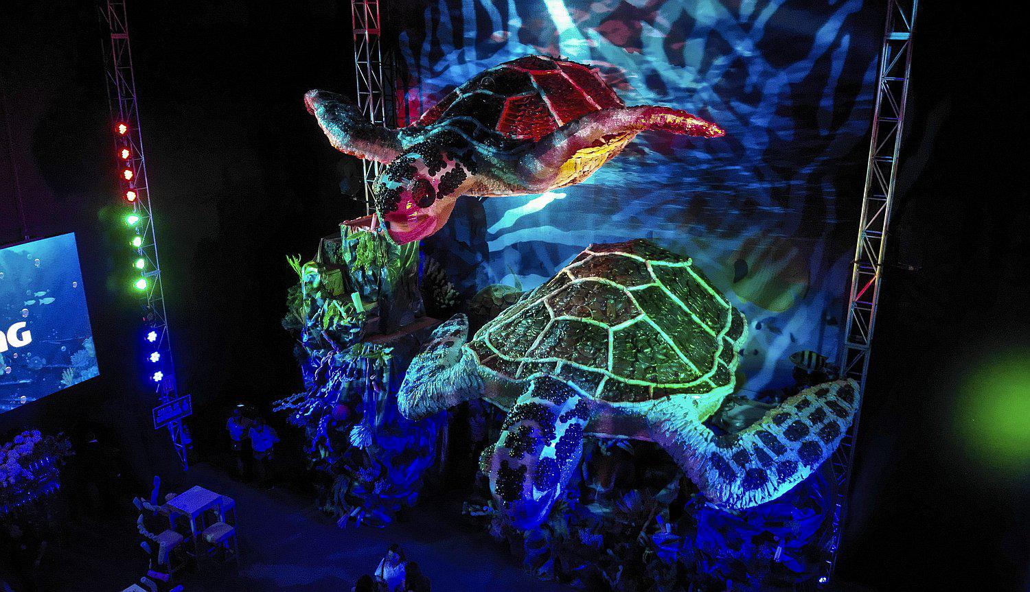 Crean las tortugas más grandes del país hechas con material 100% reciclado 