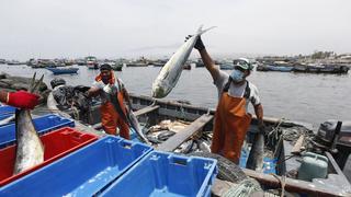 Pescadores artesanales de Tumbes reciben más de S/ 1.1 millones para fortalecer sus negocios