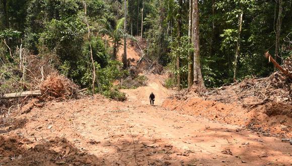 Según científicos, la selva amazónica puede sufrir un proceso de "sabanización" que afectaría irremediablemente a la capacidad del planeta de reciclar CO2. (Foto:  EVARISTO SA / AFP)