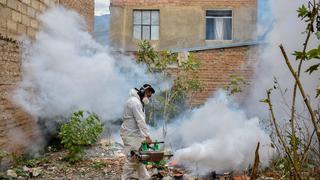 Dengue acaba con la vida de cinco personas en Leoncio Prado, Huánuco