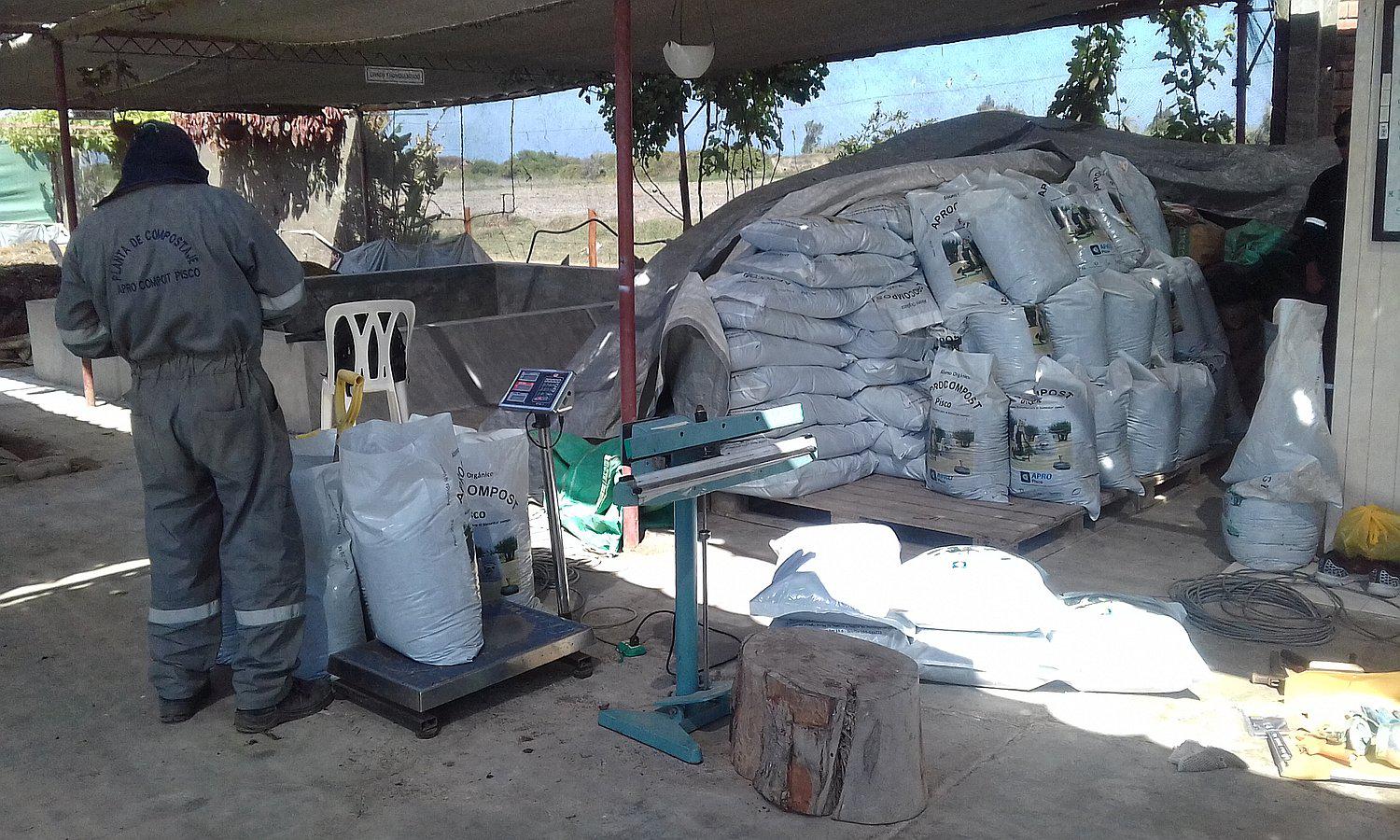 Voluntarios trabajaron en la planta de compostaje para abono orgánico en Pisco