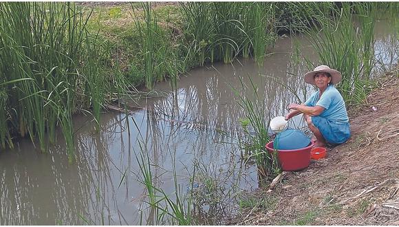 Crisis hídrica obliga a familias del Medio Piura a consum ir agua de dren pluvial
