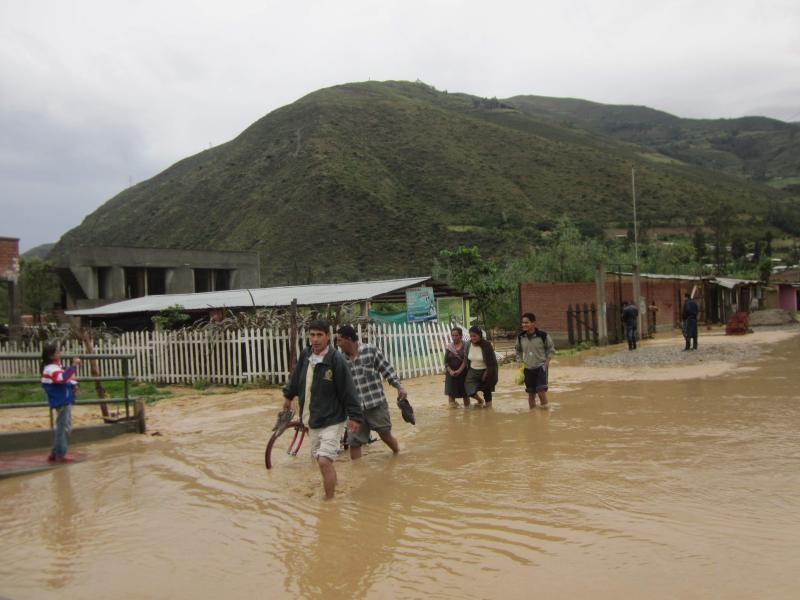 Desborde del río Huallaga dejó daños en Colpa Alta