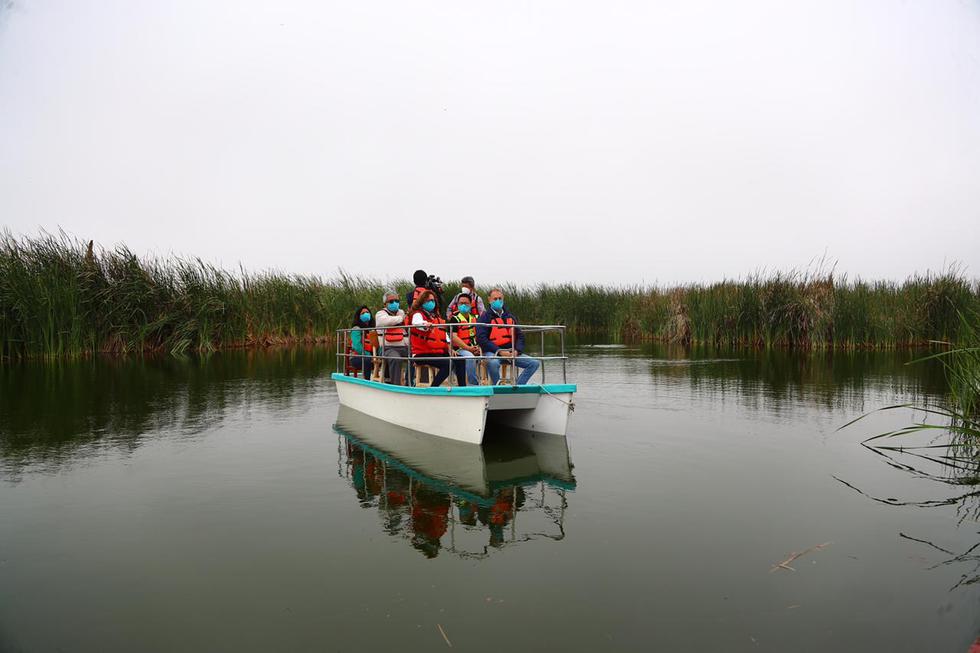 La Municipalidad de Lima informó que desde este sábado 31 de octubre los pantanos de villa reanudarán sus actividades bajo protocolos de bioseguridad. (Foto: HugoCurotto / @photo.gec)