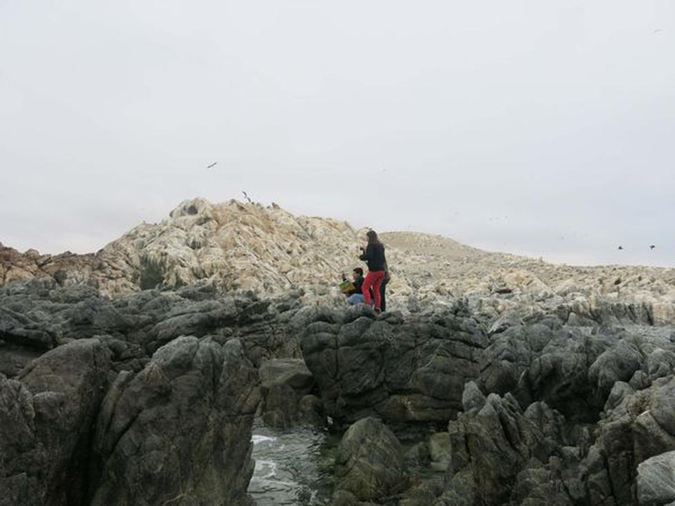 Especial: La riqueza de Punta de Coles