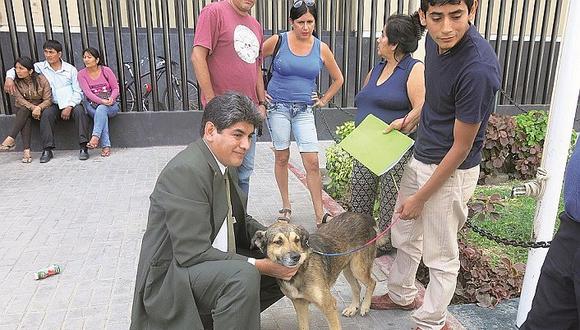 Chiclayo: Refugio animal recibe 4 denuncias diarias
