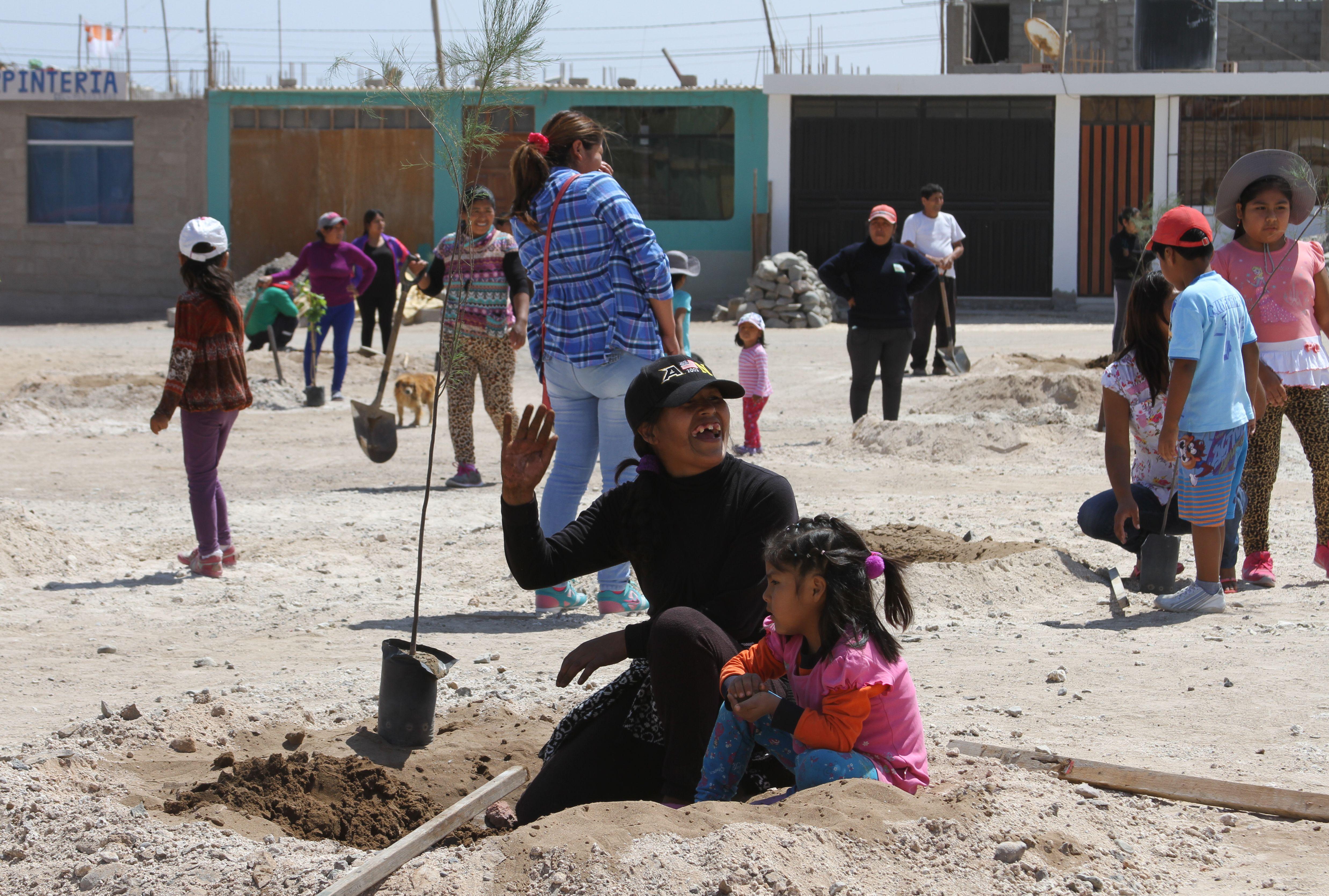 Se efectuó campaña de arborización en AA. HH. Boca del Sapo