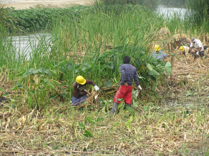 "Comandos" se quedan con cupos en obra de Lacramarca