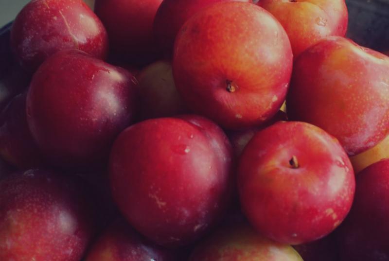 Conoce los beneficios de consumir ciruela a diario