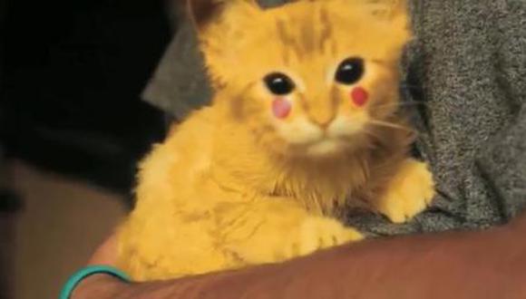 Video revela que el famoso Pikachu "sí existe"