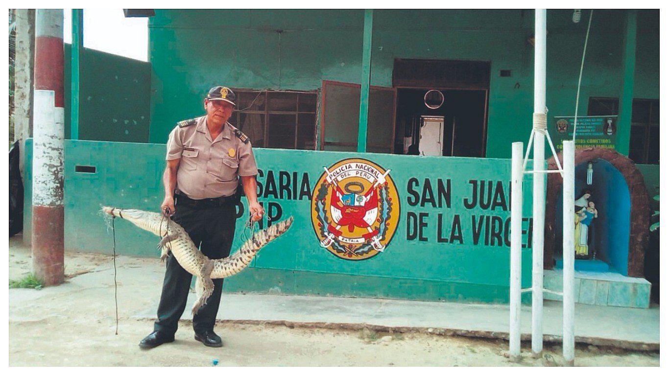 Hallan lagarto en San de la Virgen
