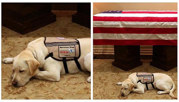 Emotiva foto del perro de George H.W. Bush que lo acompaña en su último viaje 