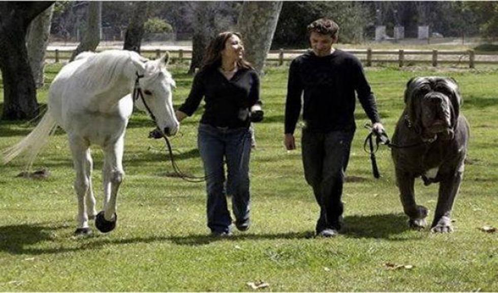 Diez fotos falsas que fueron virales