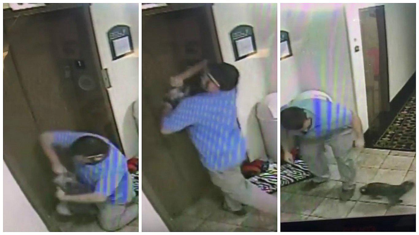 ​YouTube: Hombre salvó a un perro de una muerte segura (VIDEO)