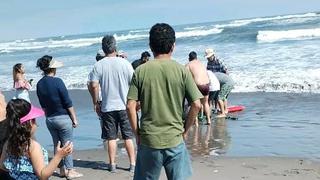 Arequipa: Bañista muere ahogado en playa de La Punta