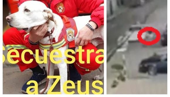 Zeus fue secuestrado en un auto de color blanco en La Victoria (Correo)