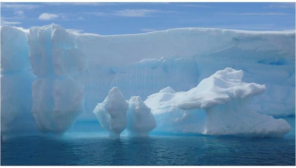 Ártico: Estas criaturas son las responsables del deshielo de glaciares