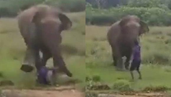 Elefante furioso pisoteó a hombre al sur de la India (VIDEO)
