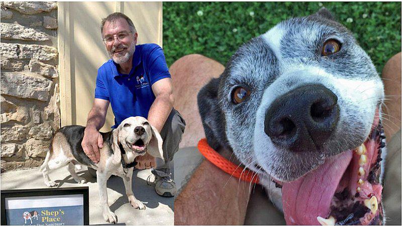 Hombre abre un ‘asilo’ para perros longevos abandonados (VIDEO)