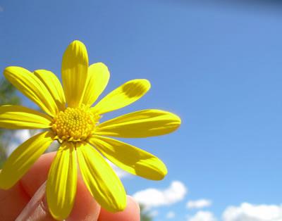 Primavera: Diez canciones para recibir estación 