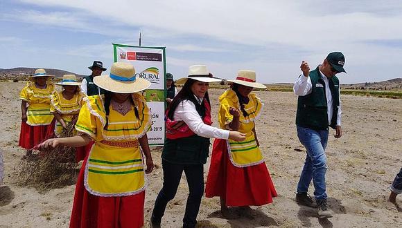 Minagri comienza siembra de pastos y forrajes en la región Arequipa