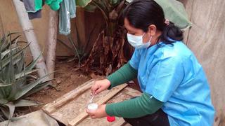 Chincha: Realizan control larvario del dengue en el distrito de Grocio Prado 