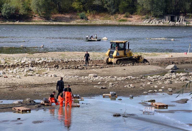 Polonia: La sequía desvela un tesoro arqueológico del río Vístula (VIDEO)