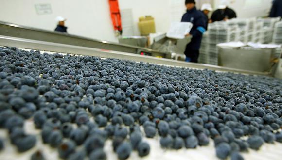 Las exportaciones de frutas y hortalizas superaron los US$ 503 millones. (Foto: Rolly Reyna / GEC)