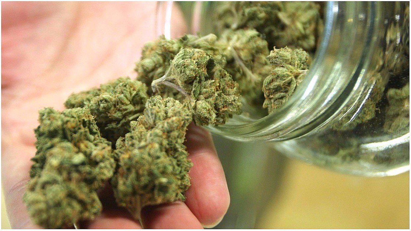 Uruguay: venta de marihuana recreativa empezará el 19 de julio 