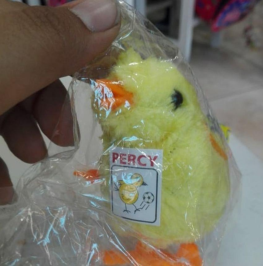 Entregan pollitos de juguete a niños de colegios de Mariano Melgar